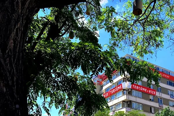 ONAT Vize Danışmanlık ve Vize Merkezi - Resim 18