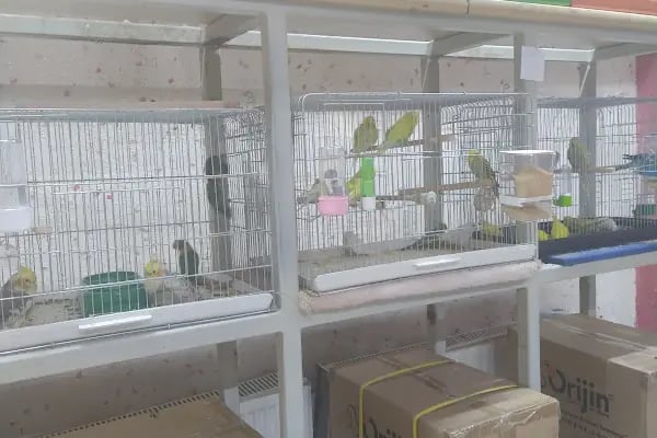 Pofudik Petshop - Resim 5