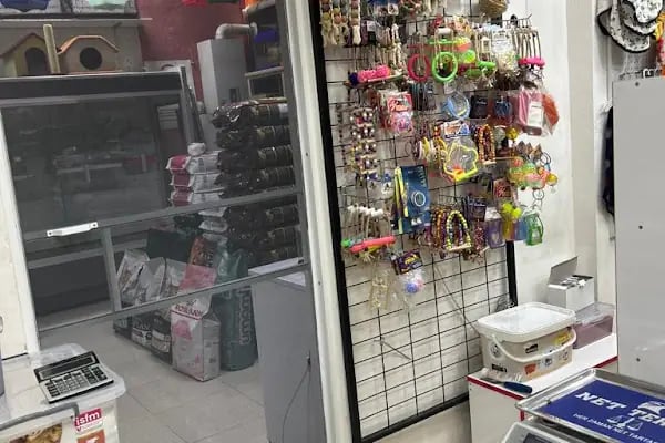 Pofudik Petshop - Resim 9