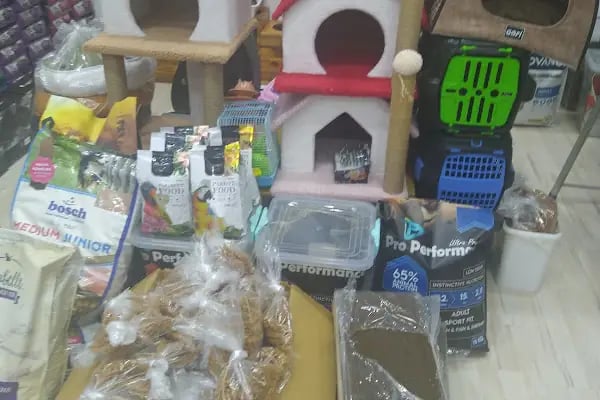 Pofudik Petshop - Resim 3
