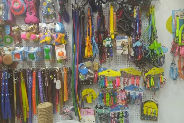 Pofudik Petshop - Resim 4