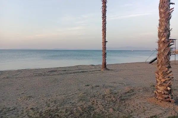 Liman Plajı - Resim 16