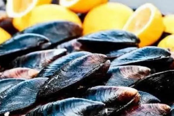 Adıyaman Osmanlı çigköfte Akşehir Nadir Tekin - Resim 20