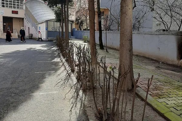 İnönü Mah. Akşemsettin Camii - Resim 16