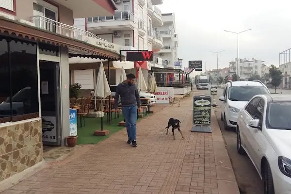 Hanımeli Ev Yemekleri - Resim 9