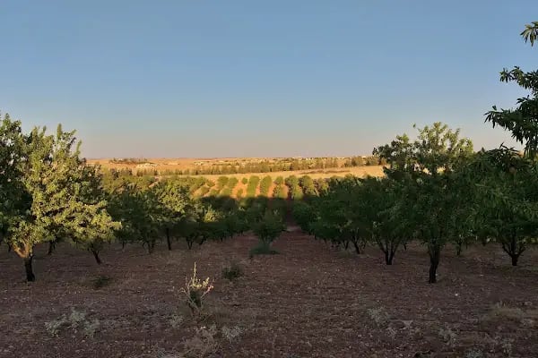 Halfeti Kaymakamlığı - Resim 12