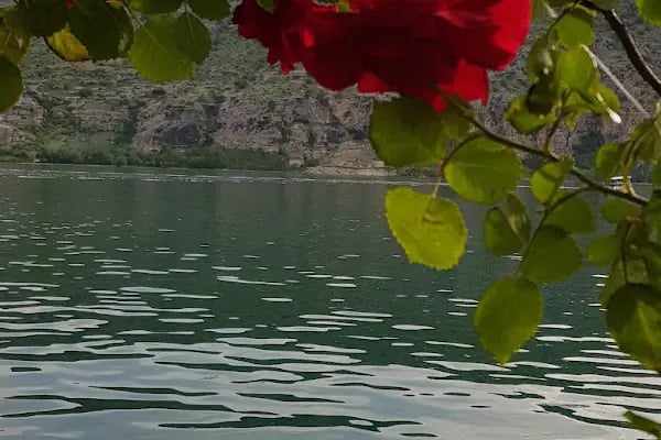 Halfeti Kaymakamlığı - Resim 8