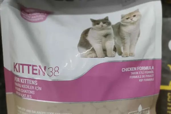 Atasu Pet Shop - Resim 18