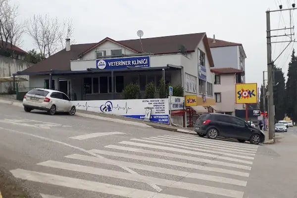BAHTIYAR VETERINER HEKIMLIGI - Resim 10