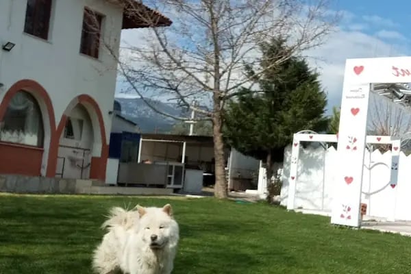 DOĞAM RESTAURANT - Resim 10