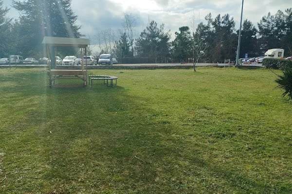 Ondokuz Mayıs Üniversitesi Ögrenci İşleri Daire Başkanlığı - Resim 18