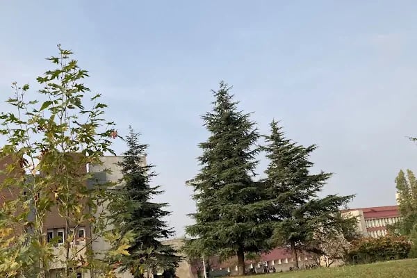 Ondokuz Mayıs Üniversitesi Ögrenci İşleri Daire Başkanlığı - Resim 9