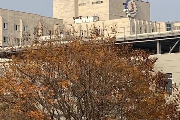 Ondokuz Mayıs Üniversitesi Ögrenci İşleri Daire Başkanlığı - Resim 19