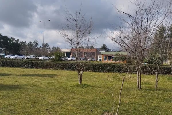 Ondokuz Mayıs Üniversitesi Ögrenci İşleri Daire Başkanlığı - Resim 6