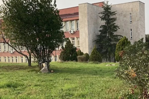 Ondokuz Mayıs Üniversitesi Ögrenci İşleri Daire Başkanlığı - Resim 11