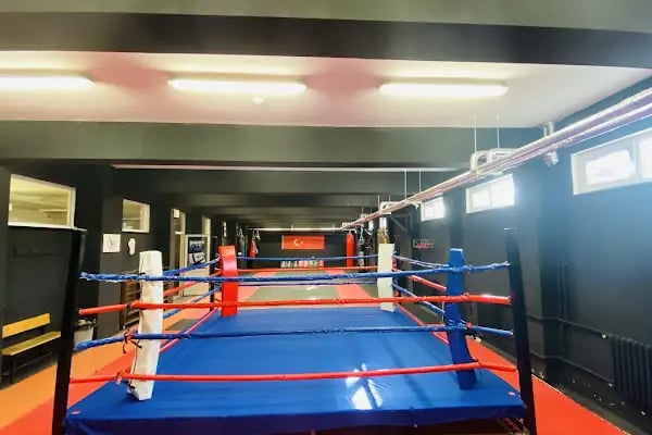 Aliya İzzet Begoviç Spor Kulübü - Resim 2