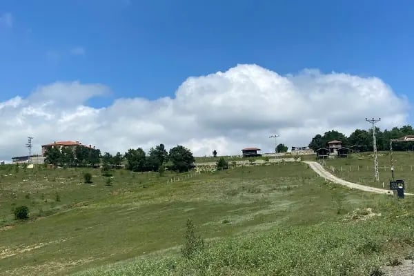 Kazancı Taşhan Otel - Resim 14