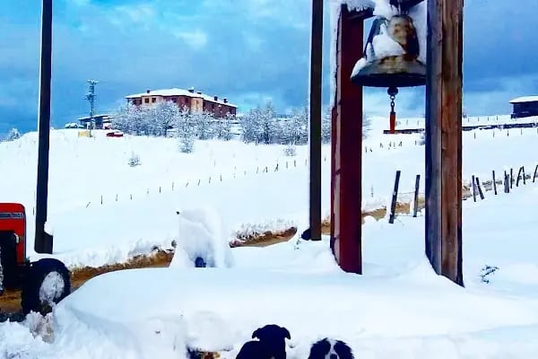Kazancı Taşhan Otel - Resim 3