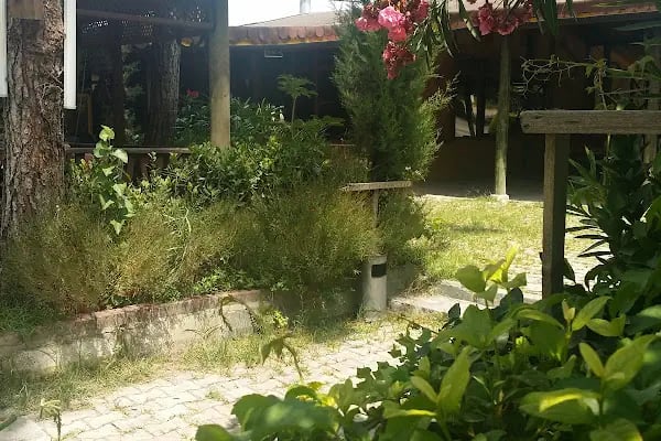 Yörük Obası Restaurant - Resim 19