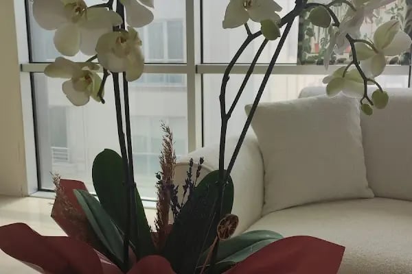 Arnavutköy, Pera Psikolojik Danışmanlık Merkezi, Psikolog Mehtap Güven - Resim 15
