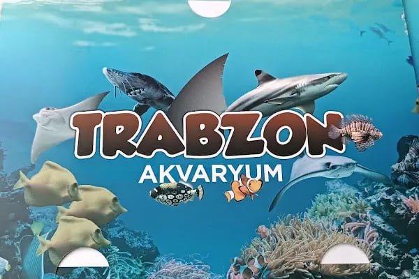 Otel Nazar - Resim 16