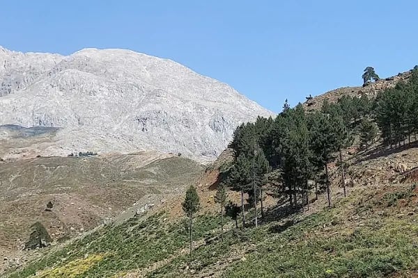 Aladağ Belediyesi - Resim 5