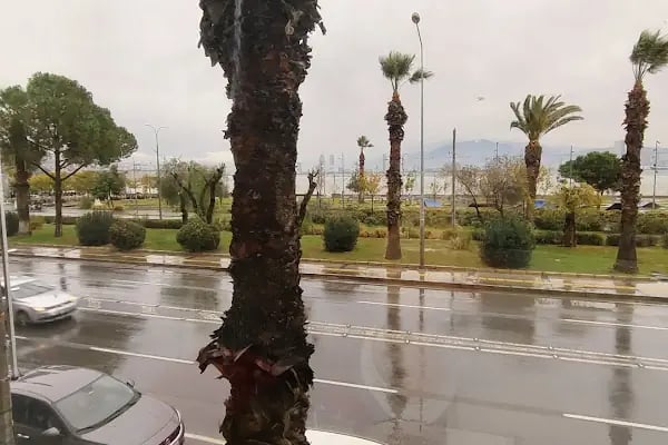 Hazine ve Maliye Bakanlığı İzmir Konuk Evi - Resim 16