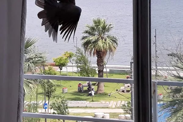Hazine ve Maliye Bakanlığı İzmir Konuk Evi - Resim 10