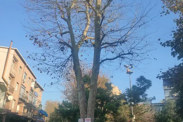 Maltepe Hasan Polat Stadyumu - Resim 19