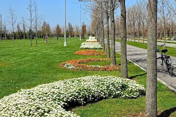Maltepe Hasan Polat Stadyumu - Resim 15