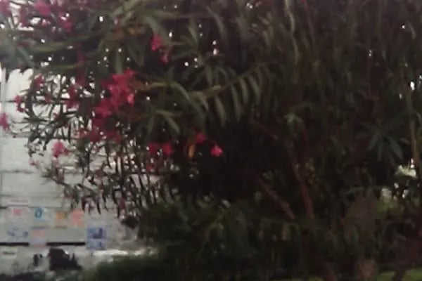 Çağrı Market Mevlanakapı - Resim 8