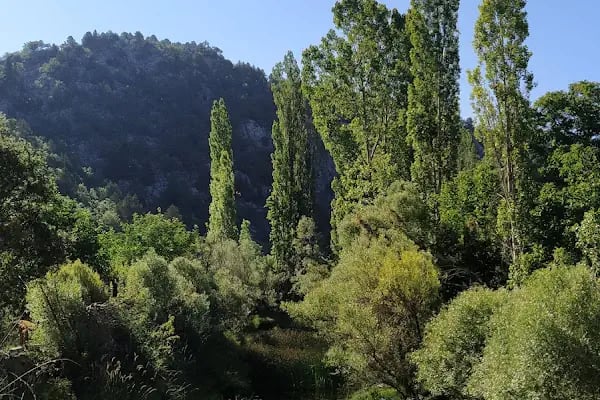 Derebucak-Çamlık Mağaraları Milli Parkı - Resim 18