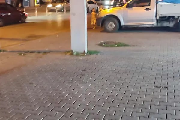 Dalyan Balıkçısı Balık Pişirme Evi - Resim 12