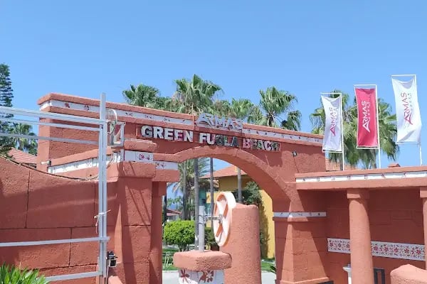Armas Green Fugla - Resim 16