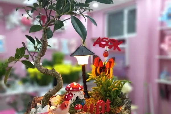 İKLİM ÇİÇEK EVİ - Resim 11