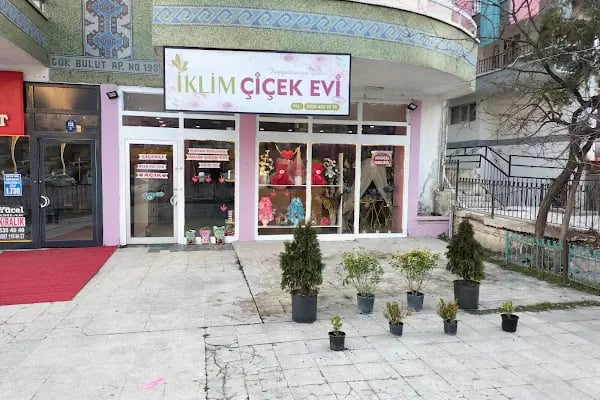 İKLİM ÇİÇEK EVİ - Resim 2
