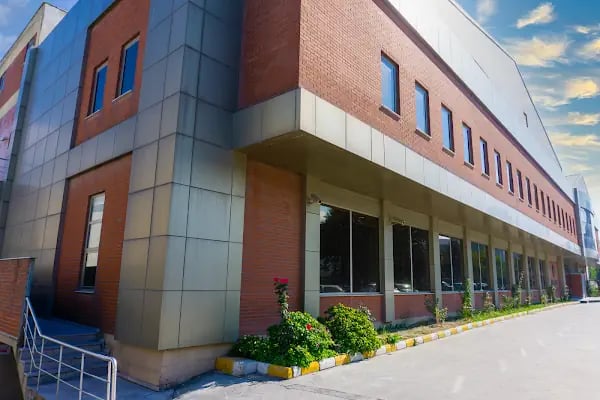 Fora Sweets Gıda Sanayi ve Ticaret Anonim Şirketi - Resim 2