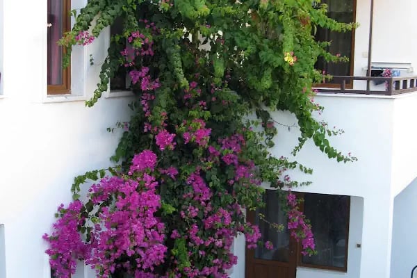 1453 Bodrum Resort Hotel &amp; Spa - Resim 16