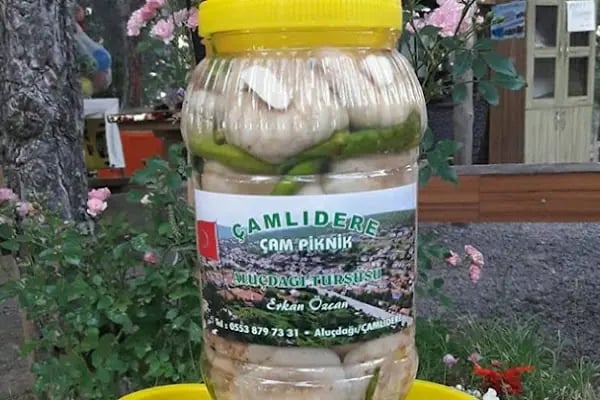 Çiçekçi Bazlama &amp; Gözleme - Resim 3