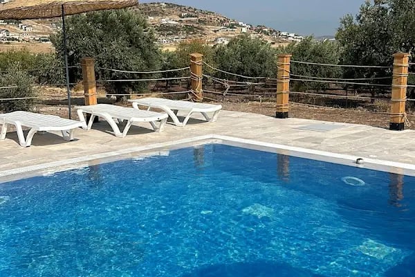 Zeytince Doğa Evi - Resim 2