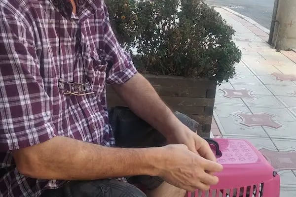 ONUR-VET VETERİNER KLİNİK HİZMETLERİ - Resim 4