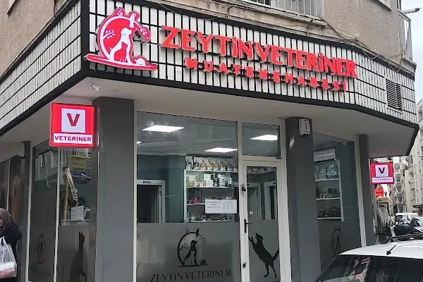Zeytin Veteriner Kliniği Muayenehanesi - Resim 14