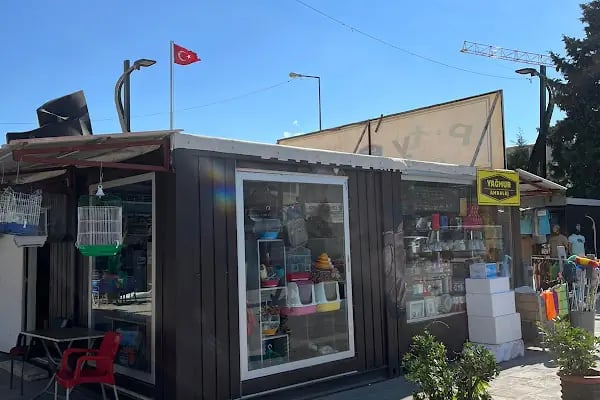 Kanarya Kuş ve Akvaryum Evi (Pet Shop) - Resim 3