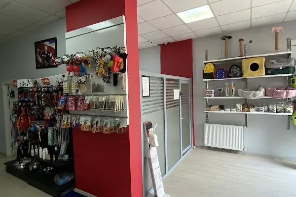 PET 312 VETERİNER POLİKLİNİĞİ BATIKENT - Resim 2