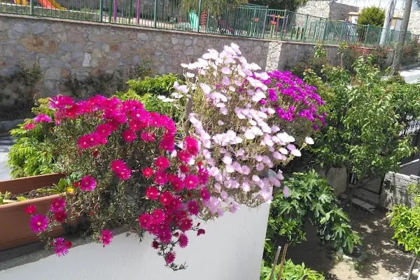 Çataltepe Çocuk Parkı - Resim 4