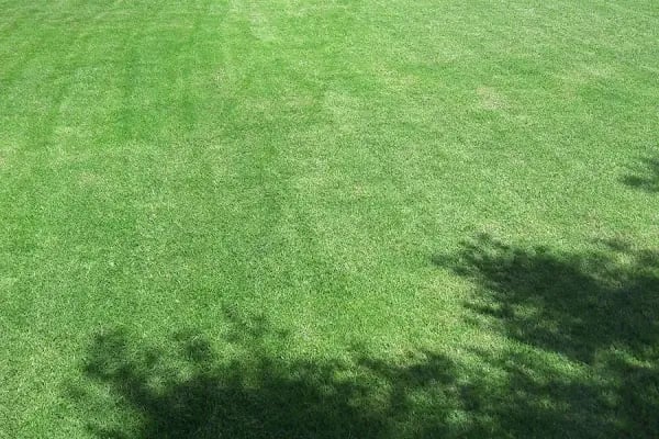 Çataltepe Çocuk Parkı - Resim 9