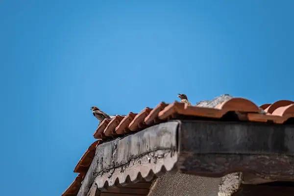 Begonvil Sitesi Akyarlar - Resim 10