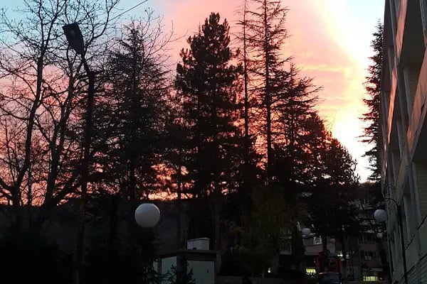 Aşiyan Otel - Resim 11