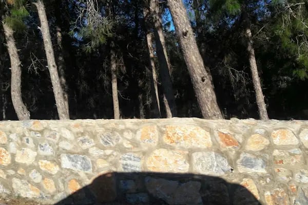 Alanya Belediyesi Bilaller Mesire Alanı - Resim 9