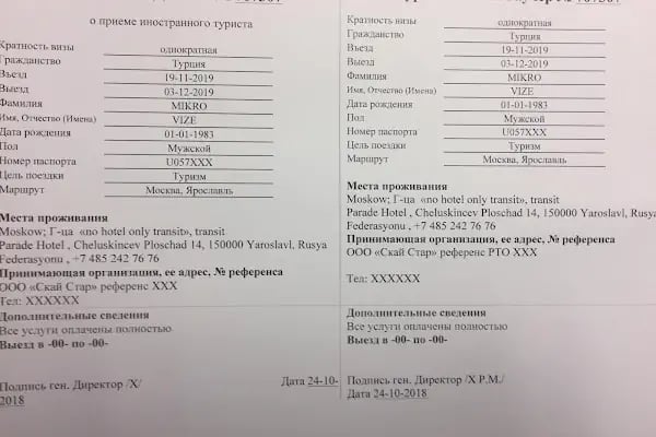 Rusya Vize Başvurusu - Mikro Vize - Resim 14
